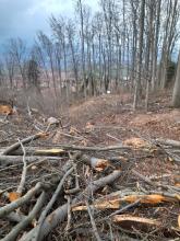 Verwüstung und Zerstörung