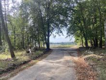 Blick auf die Rodungsfläche