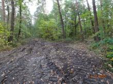 Verdichtungen und Wegzerstörungen