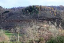 Kahlschlag hinter der Höhstadt 2