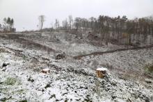 Kahlschlag N/W Puderbach - unterhalb &quot;Vorm Hainrot&quot;