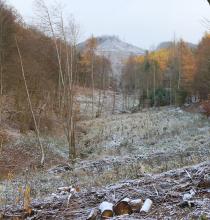 Kahlschläge Blickrichtung Puderburg