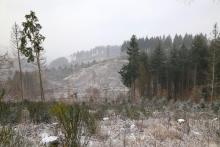 Von Puderbach über Litzelbach nach Bad Laasphe