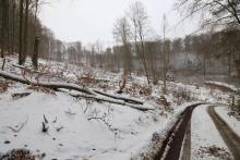 Westlich Unterste Kirschköpfchen bei Hochsitz 2