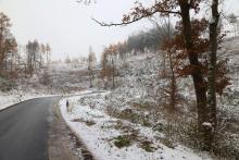 Kahlschläge Kurvenstrecke L903 zum Didoll 1