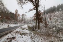 Kahlschläge Kurvenstrecke L903 zum Didoll 2