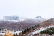 Kahlschlag Weg zur Wegespinne