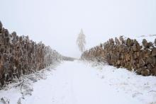 Wegespinne Puderbach Hainrot 5