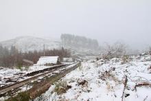 Wegespinne Puderbach Hainrot 3