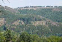 Burbachseite Grenze NRW_Hessen 3