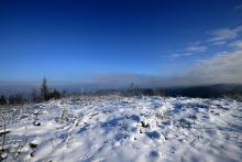 Kahlschlag am Stein, nördlich Puderbach 2