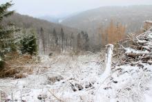 zum Harfeld - gegenüber Im Grund unterm Hülshofe 1