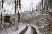 Buchen - zwischen Schweinskaute und In der Weidetal 1