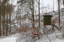 Buchen - zwischen Schweinskaute und In der Weidetal 2