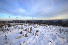 Hainrot 619 m - Blickrichtung Sackpfeife - Puderburg