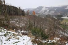 Oberhalb Im Albertstal, unterhalb Hainroth Kahlschlag