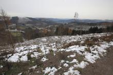 Hainroth - unterhalb Hettmannweg 3