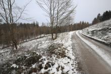 Wegespinne - Harfeld - unmittelbar an &quot;Birkeacker&quot;, oberhalb &quot;Nassehecke&quot; 1