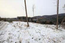 Wegespinne - Harfeld - nach Birkeacker - zwischen Prinzseifen und Schweinskaute - vor Harfeldergrund