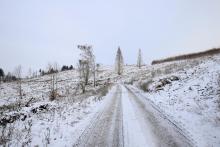Wegespinne - Harfeld - nach Birkeacker - zwischen Prinzseifen und Schweinskaute - vor Harfeldergrund