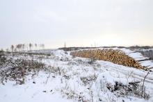 Auf der Steinecke  Auf der Weidetal