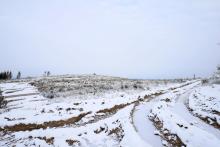 Auf der Steinecke  Auf der Weidetal