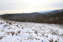 Zwischen &quot;Oberste Kirschköpfchen&quot; und &quot;Unterste Kirschköpfchen&quot;, N Puderbach