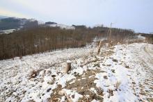 Zwischen &quot;Oberste Kirschköpfchen&quot; und &quot;Unterste Kirschköpfchen&quot;, N Puderbach