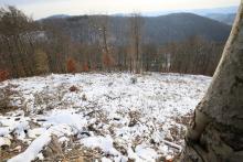 Zwischen &quot;Oberste Kirschköpfchen&quot; und &quot;Unterste Kirschköpfchen&quot;, N Puderbach