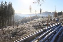 Eichhecke - Schorr - Richtung L903 Bad Laasphe - Puderbach