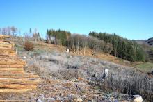 Eichhecke - Schorr - Richtung L903 Bad Laasphe - Puderbach