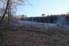 Fuß vom Hermannsberg - südlich Puderbach Richtung Bad Laasphe