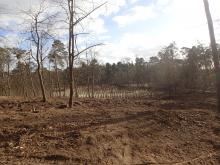 Andere Hangseite devastiert. Im Hintergund ältere Kahlschlag-/Aufforstungsfläche