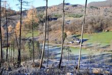 Vor Ortseingang - unterhalb Schorr - Lahn-Eder-Straße