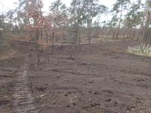 Kahlschlag am Hang im geschützten Biotop