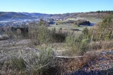 Heide-Berg - unterer Teil - Blickrichtung Bad Laasphe