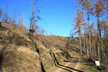 Heide-Berg, südliche Bergflanke - Mittelteil