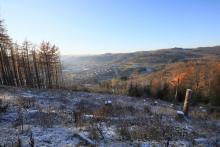 Faule Seite - nördliche Fläche