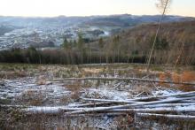 Faule Seite - nördliche Fläche