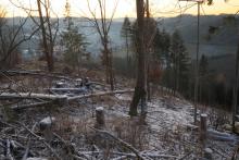 Heide-Berg - von hinten - östlich