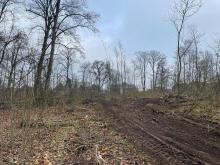 Kahlschlag im Zimmermannschen Wäldchen in Münster Kinderhaus im Dezember 2021, hier: zerstörte Fläche