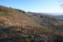 Faule Seite - Richtung Niederlaasphe - Talsenke