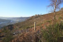 Faule Seite - Richtung Niederlaasphe - Talsenke