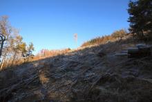 zum Hardt - Hangblick aufwärts