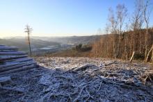 Hardt Gipfel - Niederlaasphe