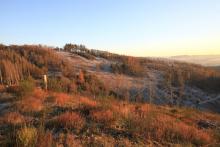 Hardt Gipfel - Niederlaasphe