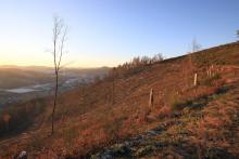 Talsenke zum Hardt - Niederlaasphe - kurz vor Grenze von NRW zu Hessen