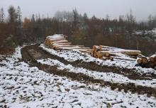 Gegegen den Dreisbach - Pfaffenschlenke - Ober der Dreisbachhude - In der Dreisbachhude