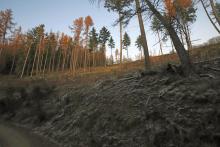 Hanglage Sommerberg zum Heide-Berg