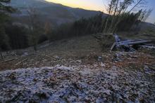 Oberhalb Rothenstein - zwischen Richtel und Sommerberg